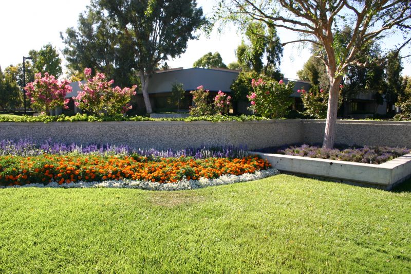 Decorative Garden Beds