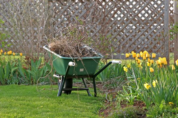 Flower Bed Cleanup Service in Bella Vista