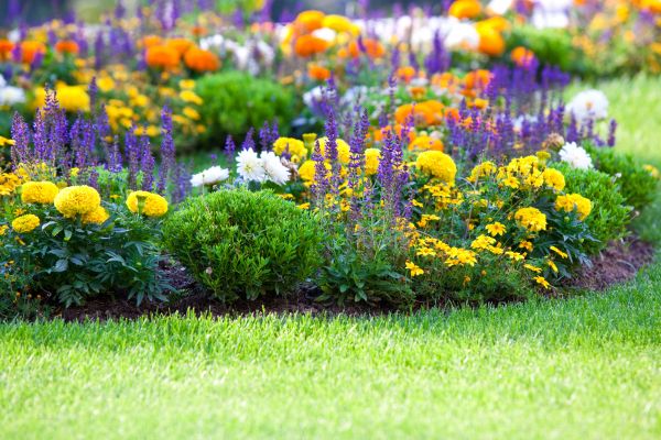 Flower Bed Maintenance in Bella Vista