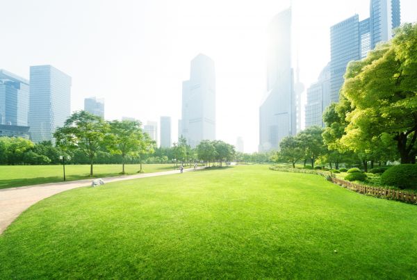 Commercial Landscape Maintenance in Bella Vista