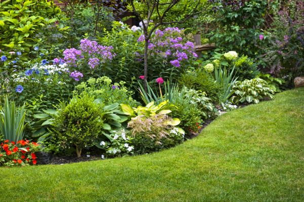 Flower Bed Service in Bella Vista