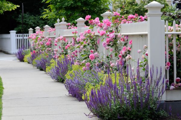 Garden Handyman Service in Bella Vista