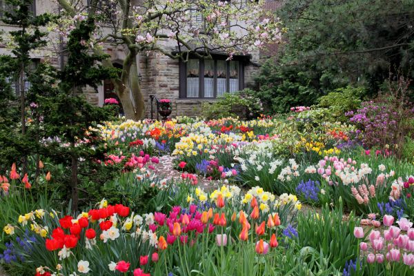 Garden Maintenance Service in Bella Vista