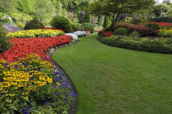 Landscaping Maintenance in Bella Vista