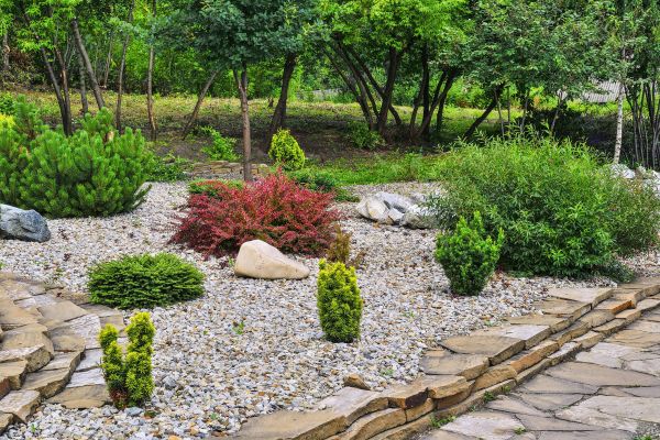 Rock Landscaping in Bella Vista
