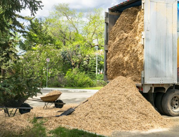 Wood Chips Delivery in Bella Vista