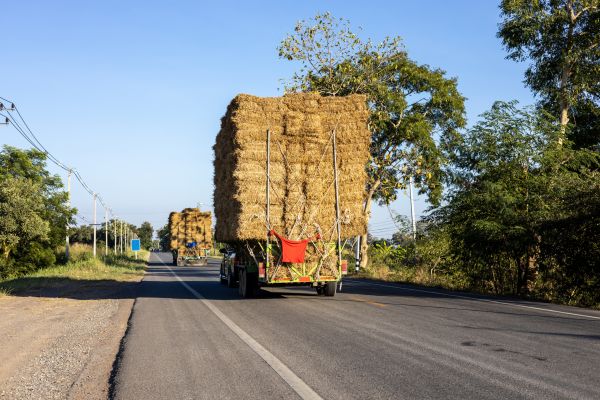 Pine Straw Delivery in Bella Vista