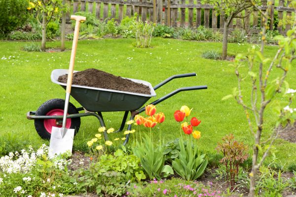 Spring Yard Cleanup