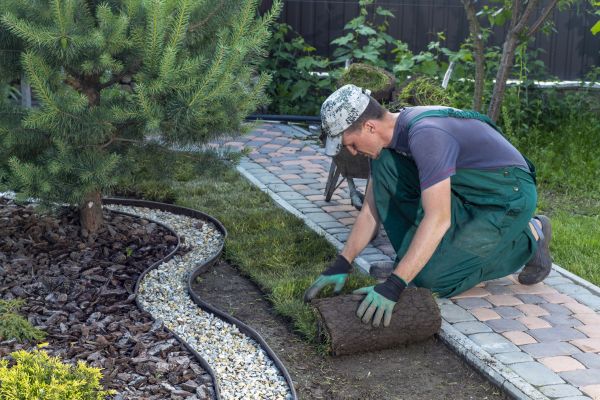 Garden Construction Service in Bella Vista