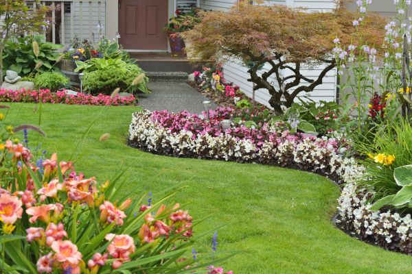 Perennial Landscaping in Bella Vista