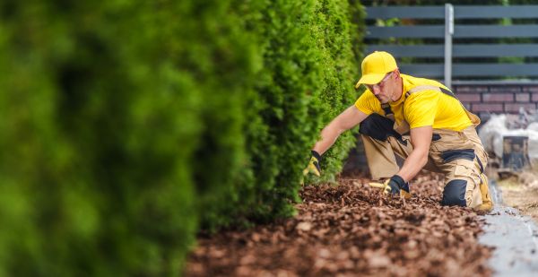 Cypress Mulch Installation in Bella Vista