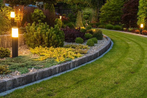 Garden Repair Service in Bella Vista