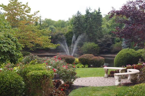 Courtyard Design Service in Bella Vista