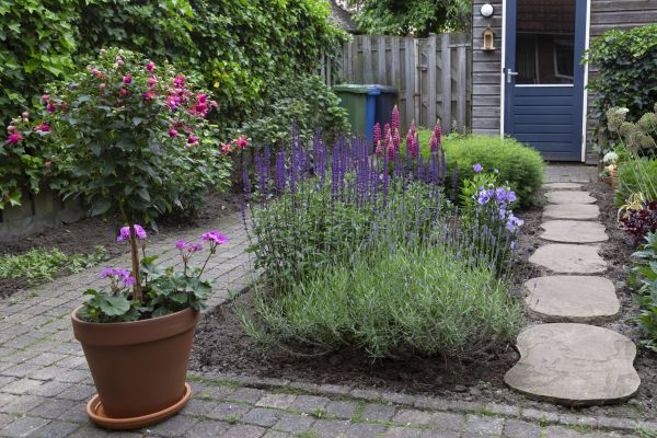 Petite Backyard Transformation