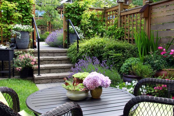 Small Space Landscaping