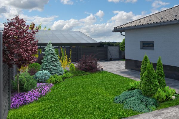 Modest Yard Landscaping