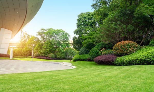 Business Landscape Design in Bella Vista