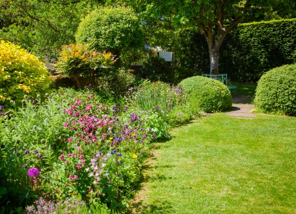 Yard Landscaping Service in Bella Vista