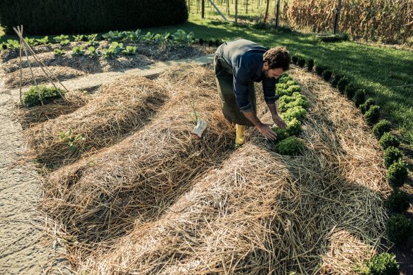 Straw Mulching Service in Bella Vista