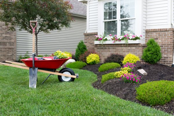 Tree And Shrub Planting