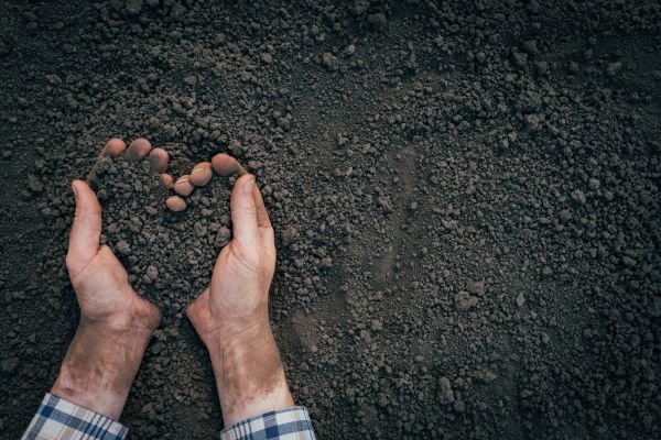 Soil Installation in Bella Vista