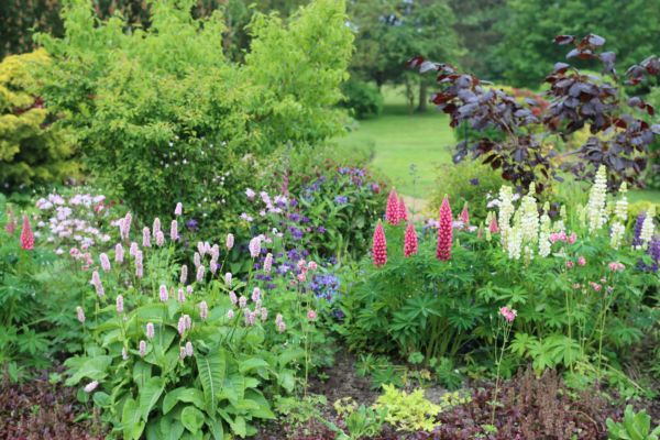 Flower Bed Planting in Bella Vista