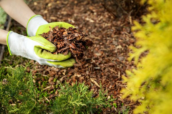 Garden Mulch Delivery