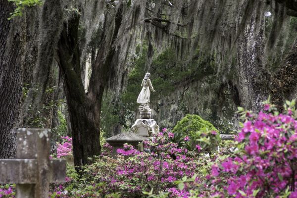 Cemetery Landscaping in Bella Vista