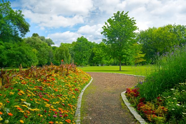 Park Landscaping in Bella Vista