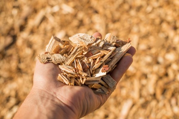 Wood Chips Spreading in Bella Vista