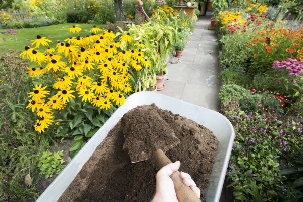 Topsoil Replacement in Bella Vista