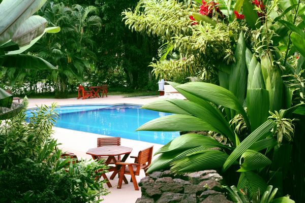Pool Area Landscaping in Bella Vista