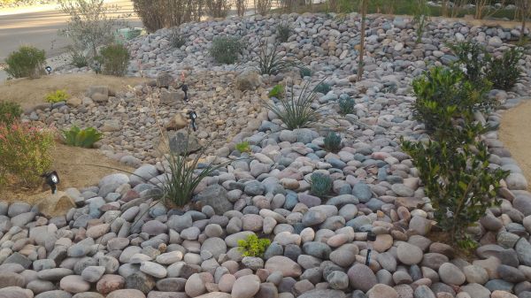 Yard Xeriscaping in Bella Vista