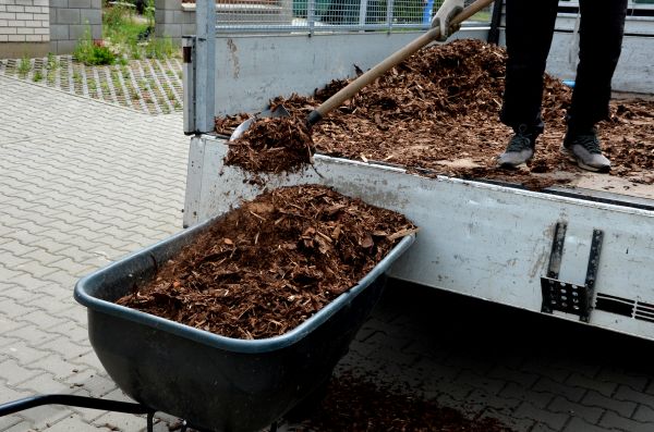 Cedar Mulch Delivery in Bella Vista