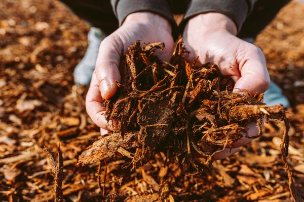 Bark Chips Delivery in Bella Vista