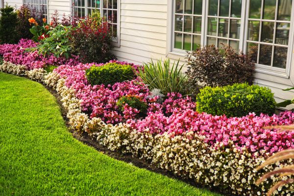 House Landscaping in Bella Vista
