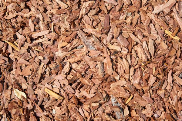 Pine Mulch Spreading in Bella Vista