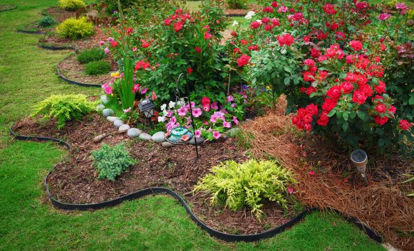 Floral Landscaping in Bella Vista