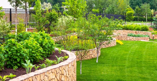 Yard Makeover Service in Bella Vista