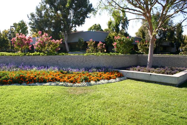 Commercial Landscape Service in Bella Vista