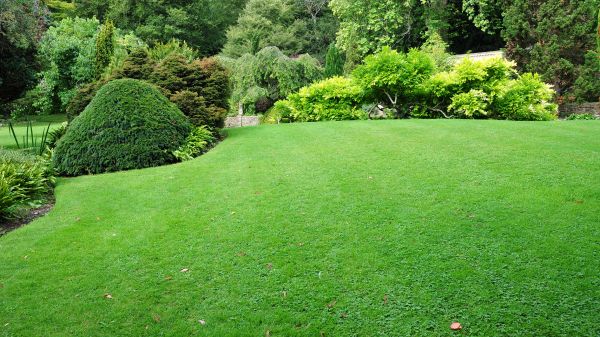Commercial Landscape Design in Bella Vista
