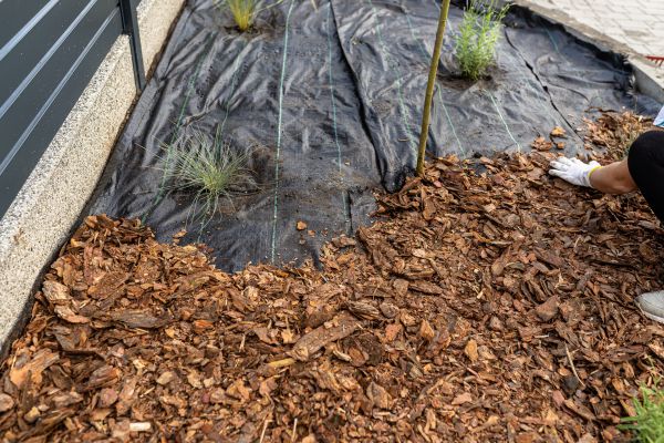 Pine Bark Spreading in Bella Vista