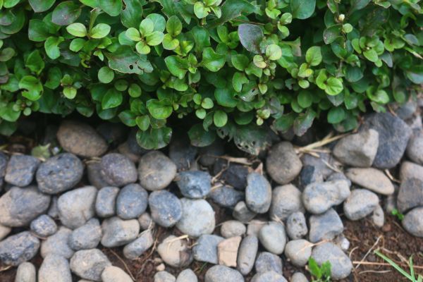 River Stone Installation in Bella Vista