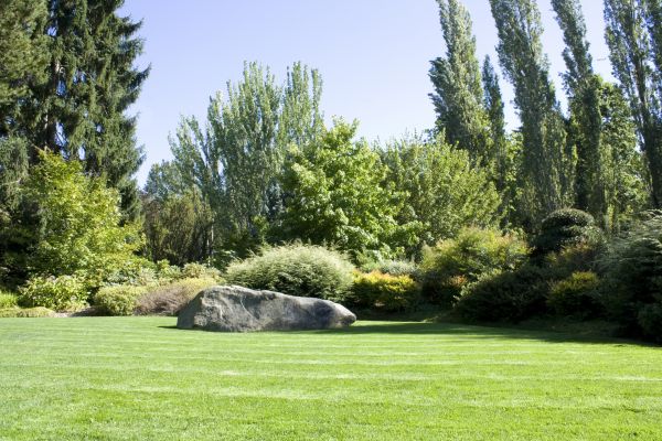 Yard Enlargement in Bella Vista