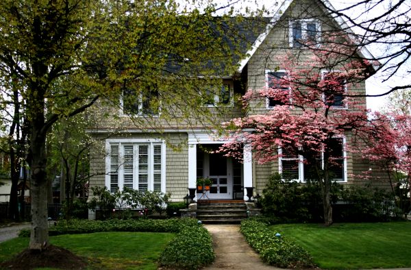 Ornamental Tree Planting in Bella Vista