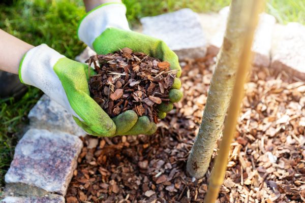 Tree Bark Delivery in Bella Vista