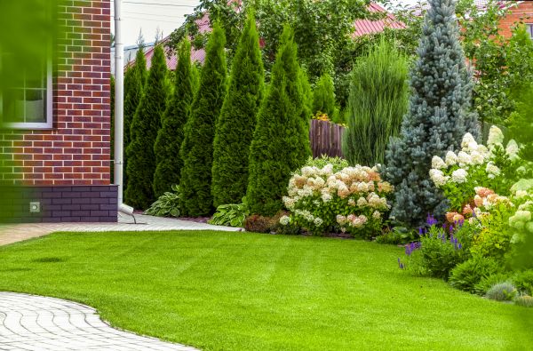 Spring Landscaping in Bella Vista