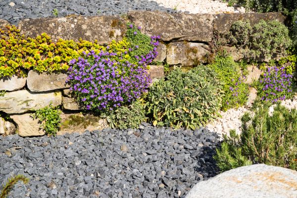 Landscaping Rocks Installation in Bella Vista