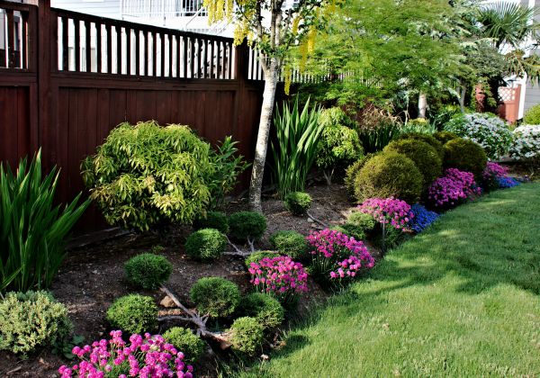 Spring Outdoor Maintenance