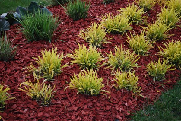 Red Mulch Installation in Bella Vista